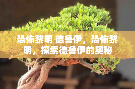 恐怖黎明 德鲁伊，恐怖黎明，探索德鲁伊的奥秘