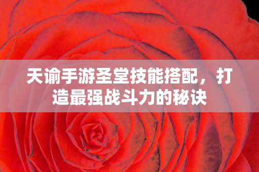天谕手游圣堂技能搭配，打造最强战斗力的秘诀