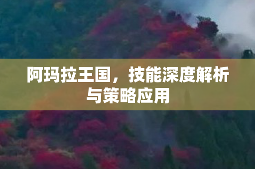 阿玛拉王国，技能深度解析与策略应用