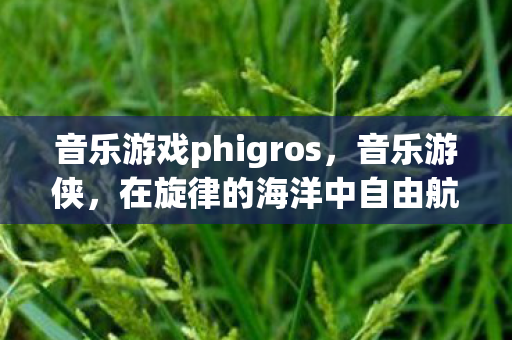音乐游戏phigros，音乐游侠，在旋律的海洋中自由航行