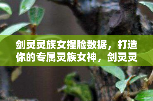 剑灵灵族女捏脸数据，打造你的专属灵族女神，剑灵灵族女捏人数据全解析