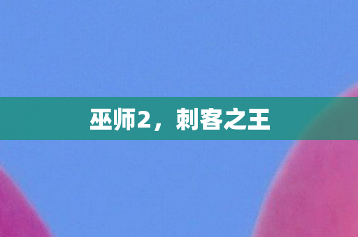 巫师2，刺客之王