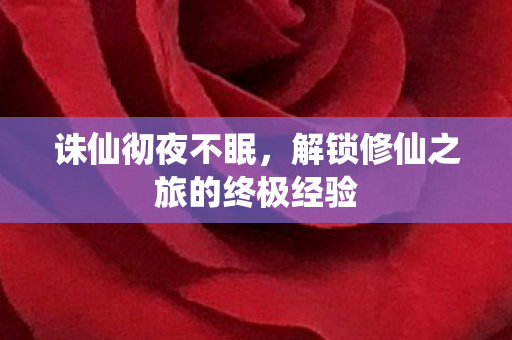 诛仙彻夜不眠，解锁修仙之旅的终极经验