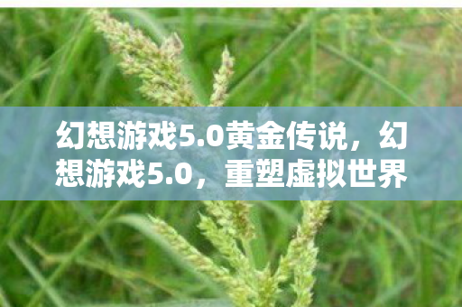 幻想游戏5.0黄金传说,幻想游戏5.0,重塑虚拟世界的未来 幻想游戏5.0黄金传说,幻想游戏5.0,重塑虚拟世界的未来