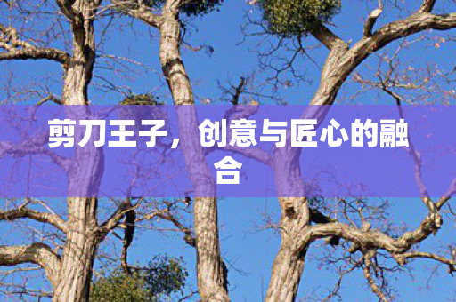 剪刀王子，创意与匠心的融合