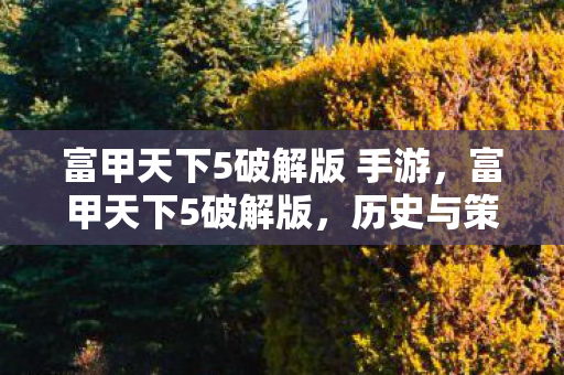 富甲天下5破解版 手游，富甲天下5破解版，历史与策略的完美融合