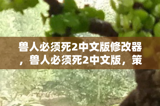 兽人必须死2中文版修改器，兽人必须死2中文版，策略塔防新体验