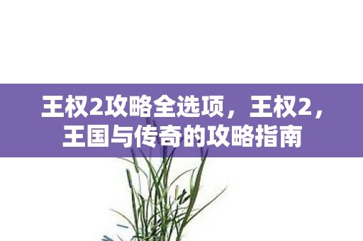 王权2攻略全选项，王权2，王国与传奇的攻略指南