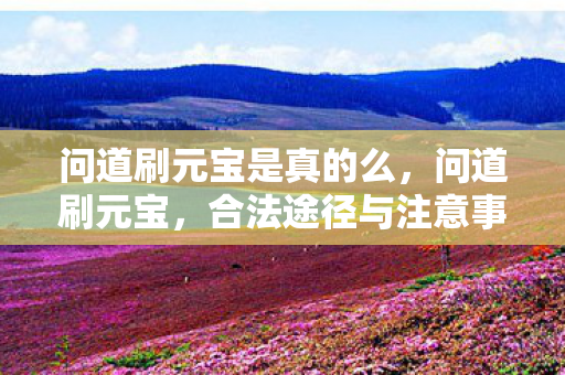 问道刷元宝是真的么，问道刷元宝，合法途径与注意事项