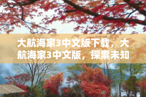 大航海家3中文版下载，大航海家3中文版，探索未知世界的航海之旅