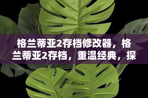 格兰蒂亚2存档修改器，格兰蒂亚2存档，重温经典，探索未知