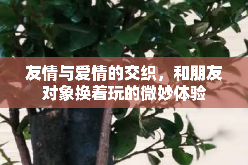 友情与爱情的交织，和朋友对象换着玩的微妙体验
