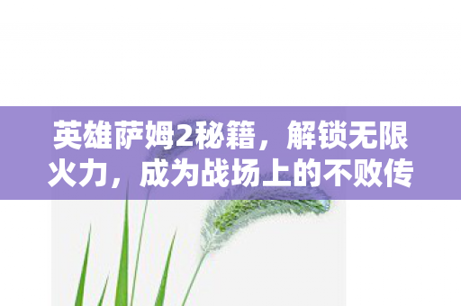 英雄萨姆2秘籍，解锁无限火力，成为战场上的不败传说