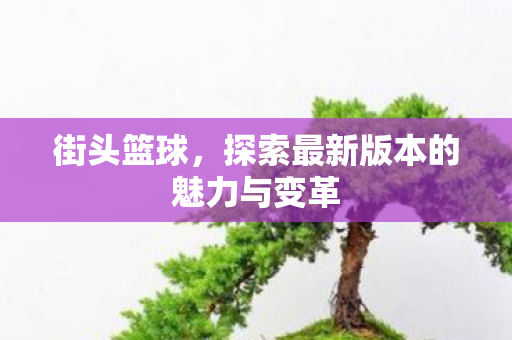 街头篮球，探索最新版本的魅力与变革