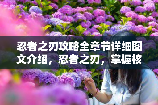 忍者之刃攻略全章节详细图文介绍，忍者之刃，掌握核心技巧，成为真正的忍者大师