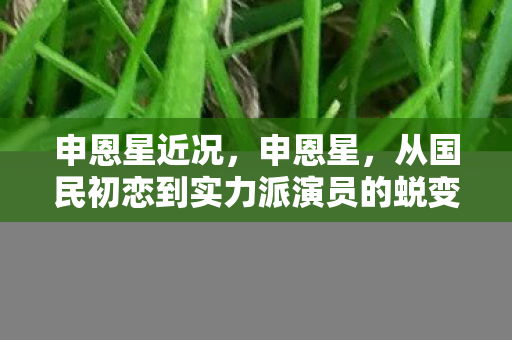申恩星近况，申恩星，从国民初恋到实力派演员的蜕变之路