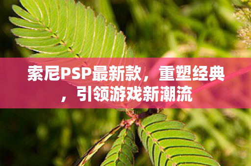 索尼PSP最新款，重塑经典，引领游戏新潮流