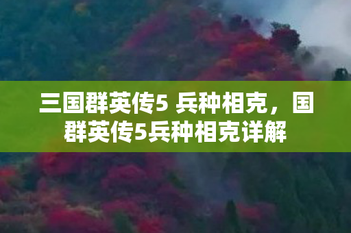 三国群英传5 兵种相克,国群英传5兵种相克详解 三国群英传5 兵种相克,国群英传5兵种相克详解