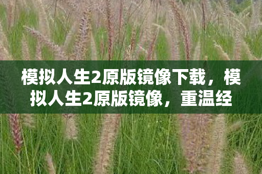 模拟人生2原版镜像下载,模拟人生2原版镜像,重温经典,探索无限可能 模拟人生2原版镜像下载,模拟人生2原版镜像,重温经典,探索无限可能