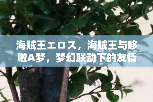 海贼王エロス，海贼王与哆啦A梦，梦幻联动下的友情与冒险