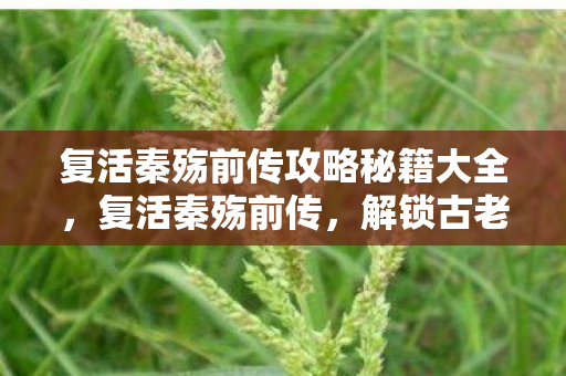 复活秦殇前传攻略秘籍大全，复活秦殇前传，解锁古老传说的神秘攻略