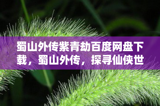 蜀山外传紫青劫百度网盘下载，蜀山外传，探寻仙侠世界的奇幻之旅