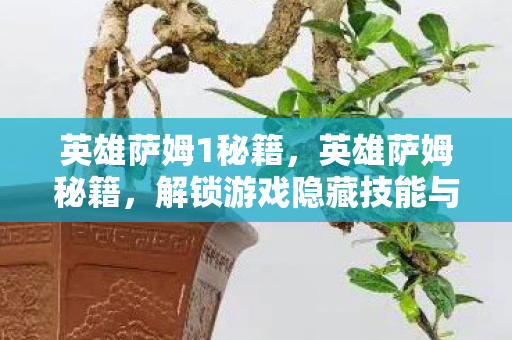 英雄萨姆1秘籍，英雄萨姆秘籍，解锁游戏隐藏技能与攻略