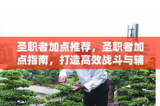 圣职者加点推荐，圣职者加点指南，打造高效战斗与辅助能力