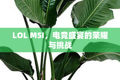 LOL MSI，电竞盛宴的荣耀与挑战