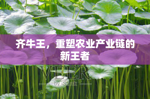 齐牛王，重塑农业产业链的新王者