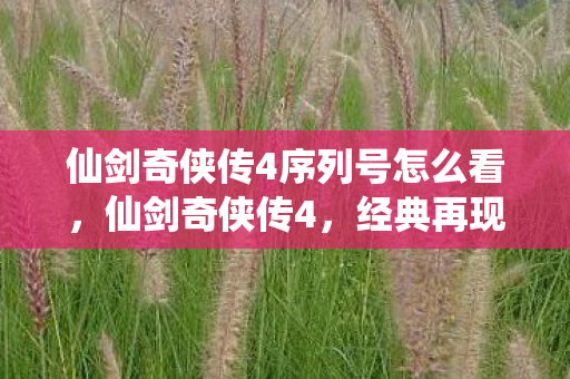 仙剑奇侠传4序列号怎么看，仙剑奇侠传4，经典再现，序列号背后的故事