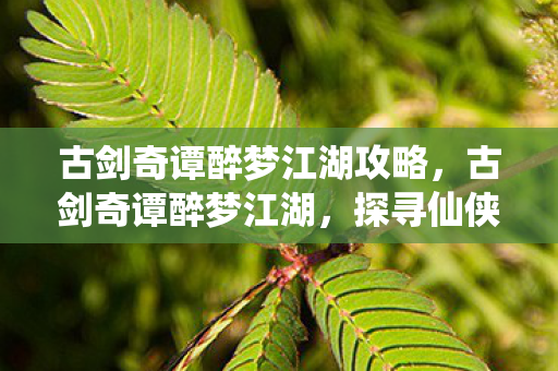 古剑奇谭醉梦江湖攻略，古剑奇谭醉梦江湖，探寻仙侠世界的无尽魅力