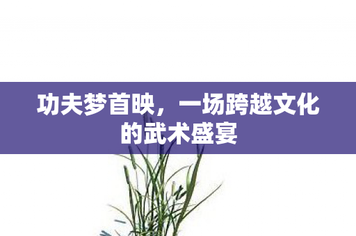 功夫梦首映，一场跨越文化的武术盛宴