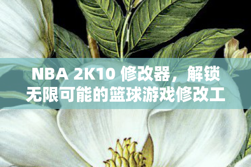 NBA 2K10 修改器，解锁无限可能的篮球游戏修改工具