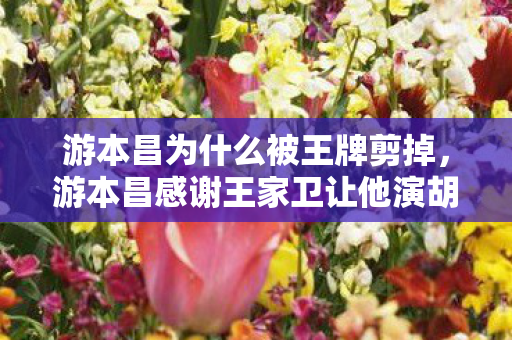 游本昌为什么被王牌剪掉，游本昌感谢王家卫让他演胡歌教父，一段演艺佳话的背后