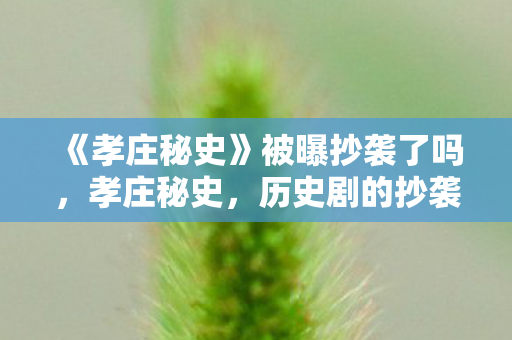 《孝庄秘史》被曝抄袭了吗，孝庄秘史，历史剧的抄袭风波