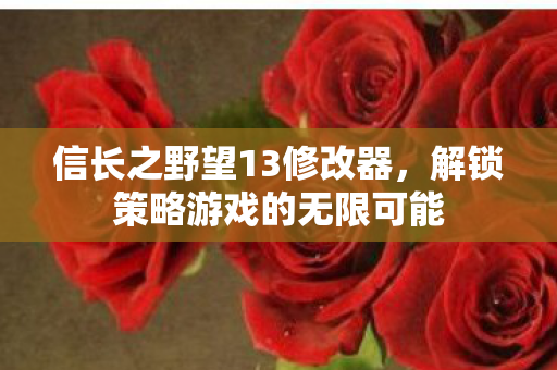 信长之野望13修改器，解锁策略游戏的无限可能