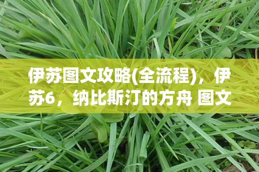 伊苏图文攻略(全流程)，伊苏6，纳比斯汀的方舟 图文攻略