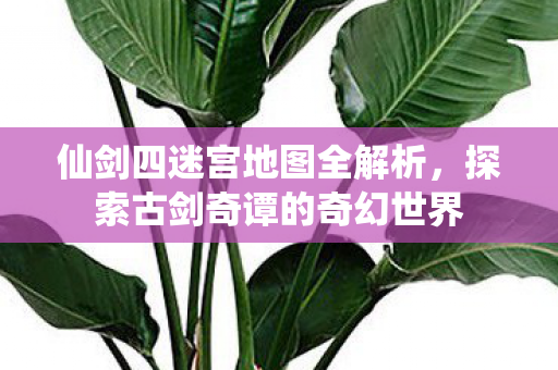 仙剑四迷宫地图全解析，探索古剑奇谭的奇幻世界