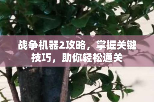 战争机器2攻略，掌握关键技巧，助你轻松通关