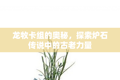 龙牧卡组的奥秘，探索炉石传说中的古老力量