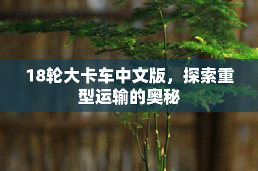 18轮大卡车中文版，探索重型运输的奥秘