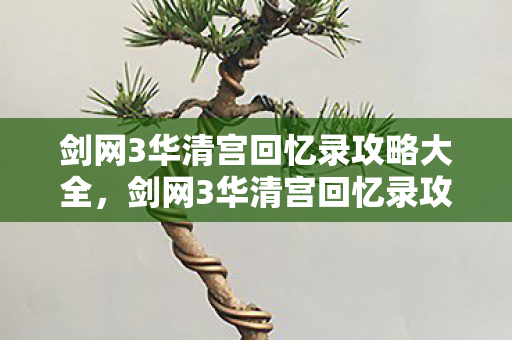 剑网3华清宫回忆录攻略大全，剑网3华清宫回忆录攻略
