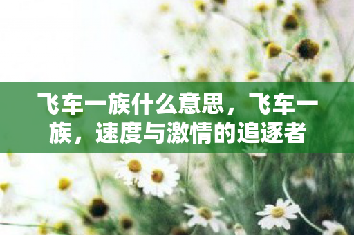 飞车一族什么意思，飞车一族，速度与激情的追逐者