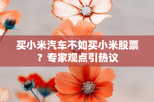 买小米汽车不如买小米股票？专家观点引热议