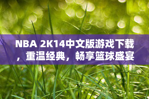 NBA 2K14中文版游戏下载，重温经典，畅享篮球盛宴
