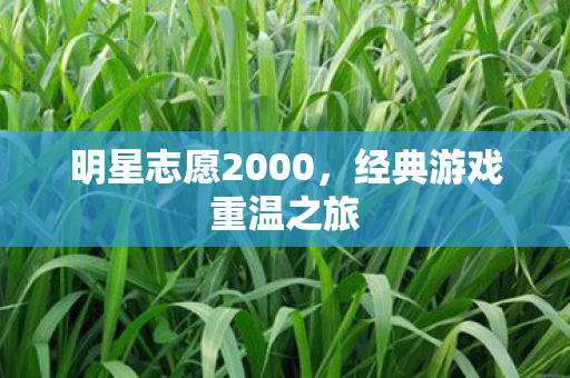 明星志愿2000，经典游戏重温之旅