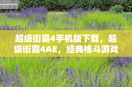 超级街霸4手机版下载，超级街霸4AE，经典格斗游戏的数字重生