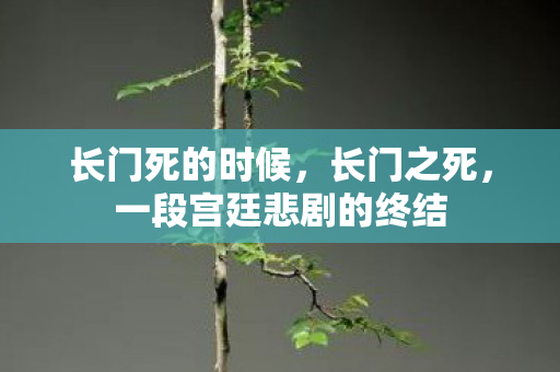 长门死的时候，长门之死，一段宫廷悲剧的终结