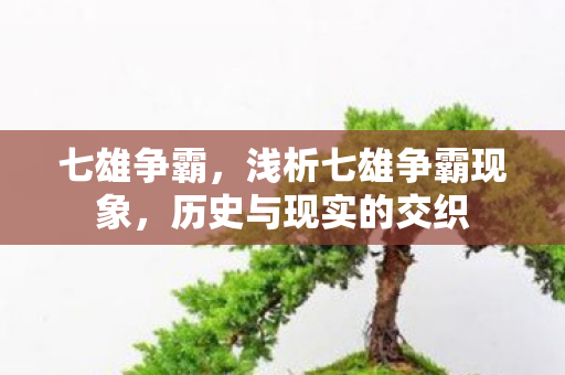 七雄争霸，浅析七雄争霸现象，历史与现实的交织